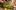 Christmas-Wreaths-aspect-ratio-16-9