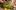 Christmas-Wreaths-aspect-ratio-16-9
