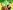 GF-Landscape-aspect-ratio-16-9