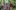 Plant-Explorers-aspect-ratio-16-9 A man in a red hoody and a women in a navy top show several children around a an indoor winter garden. There are lots of trees and lots of green.