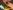 Animate-Club-scaled-aspect-ratio-16-9