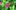 Lots of green foliage with pink and yellow buttons. A butterfly with red wings sits on one of the pink flowers.