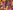 waking-up-in-Los-Angeles-copy-aspect-ratio-16-9