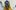 Monster-scaled-aspect-ratio-16-9