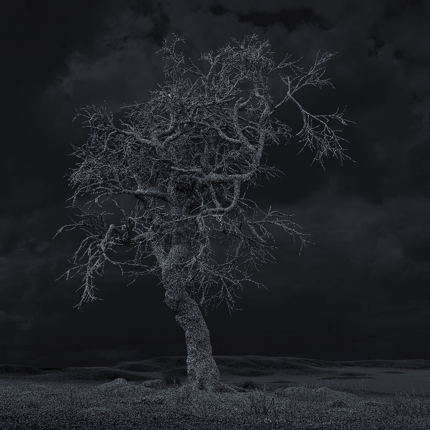 A dark, black-and-white image of a bare, twisted tree standing alone in a baron landscape. The tree's surface is covered in tiny, sparkling dots, making it look frosted or digital. The sky above is very dark and cloudy.