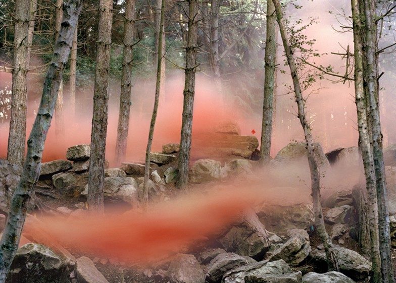 The edge of a forest. The trees are stripped bare. There are rocks at the base of the trees. There is a sickly orange fog wrapping the trunks. In this background stands leafy green trees and thick foliage.