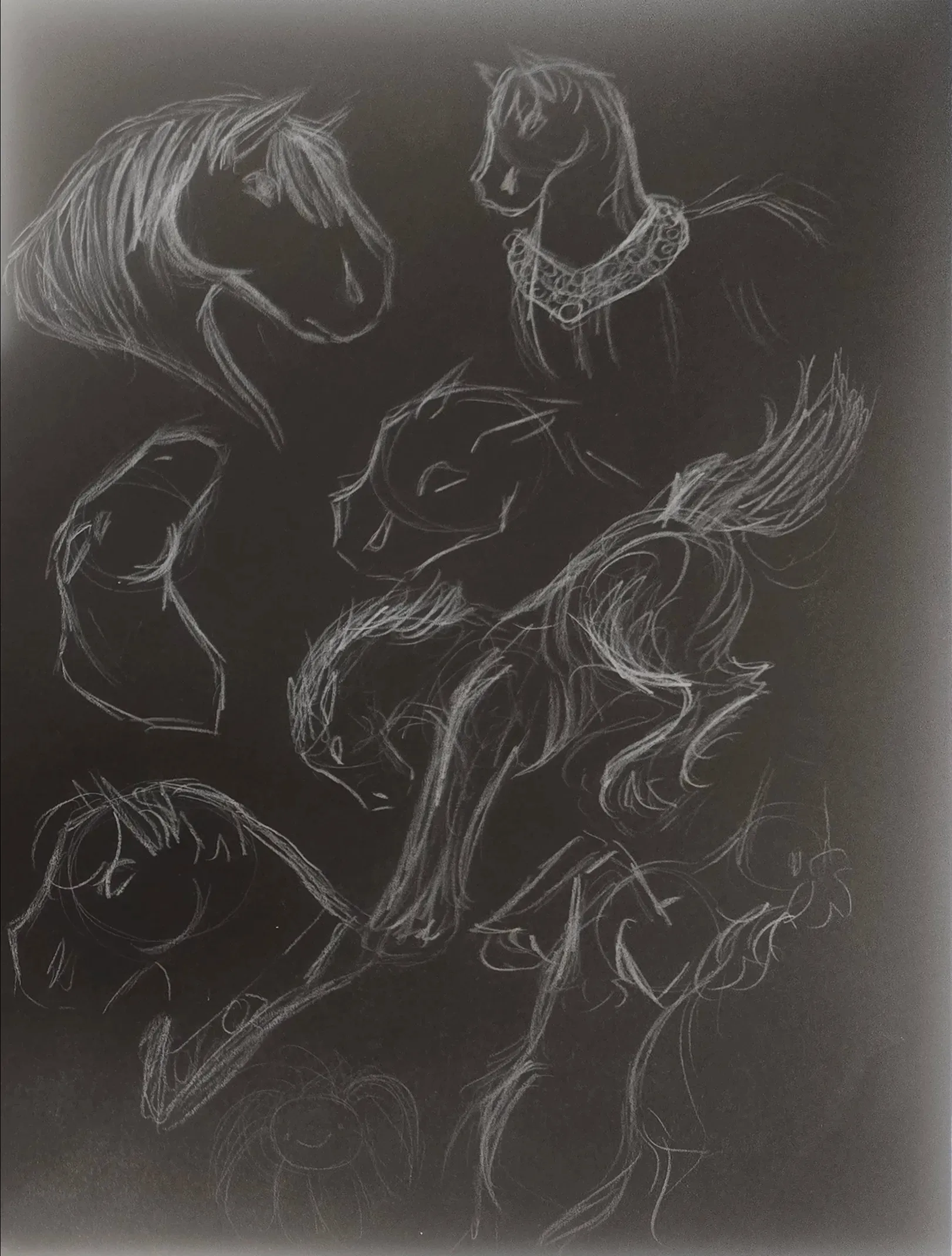A white-on-black sketch featuring multiple horses drawn with energetic, flowing white lines. In the top left, a horse head is shown in profile with a long, sweeping mane. To the right, another horse wears a thick, decorative patterned collar. The centre of the image features a full-bodied horse in a leaping or galloping pose. Several other smaller, more abstract sketches of horse heads and figures are scattered throughout the lower half of the page.