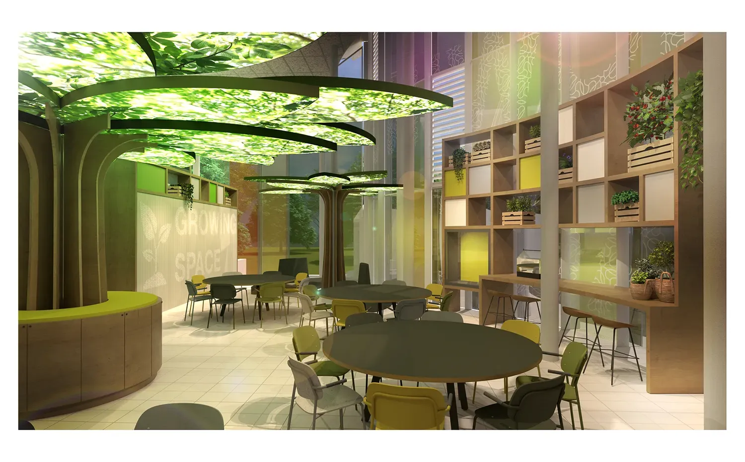 A bright indoor room with white floors and large glass windows. A big wooden tree with glowing green leaves is seen to the left. Round dark tables with yellow and green chairs are in the centre of the room. On the right, tall wooden shelves hold boxes and small green plants. A wall on the left has the words 