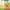 A very fluffy childs teddy bear sitting on green grass with overhanging trees in the background