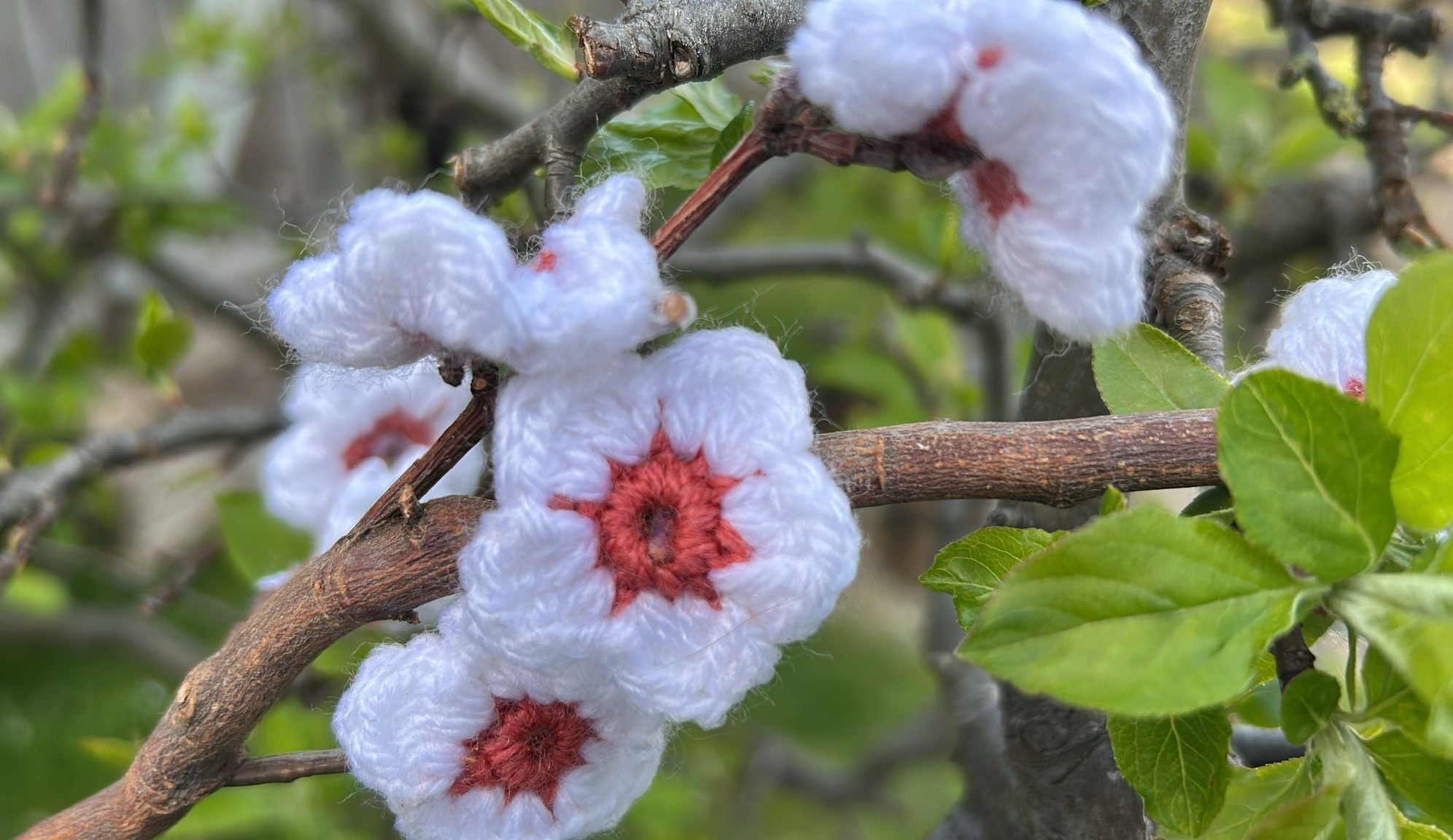 Crochet flowers in pink and white sitting in a tree made to look like real flowers