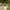 Two girls stand in the long grass with binoculars