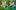 Two foil aluminium star decorations on a green background.
